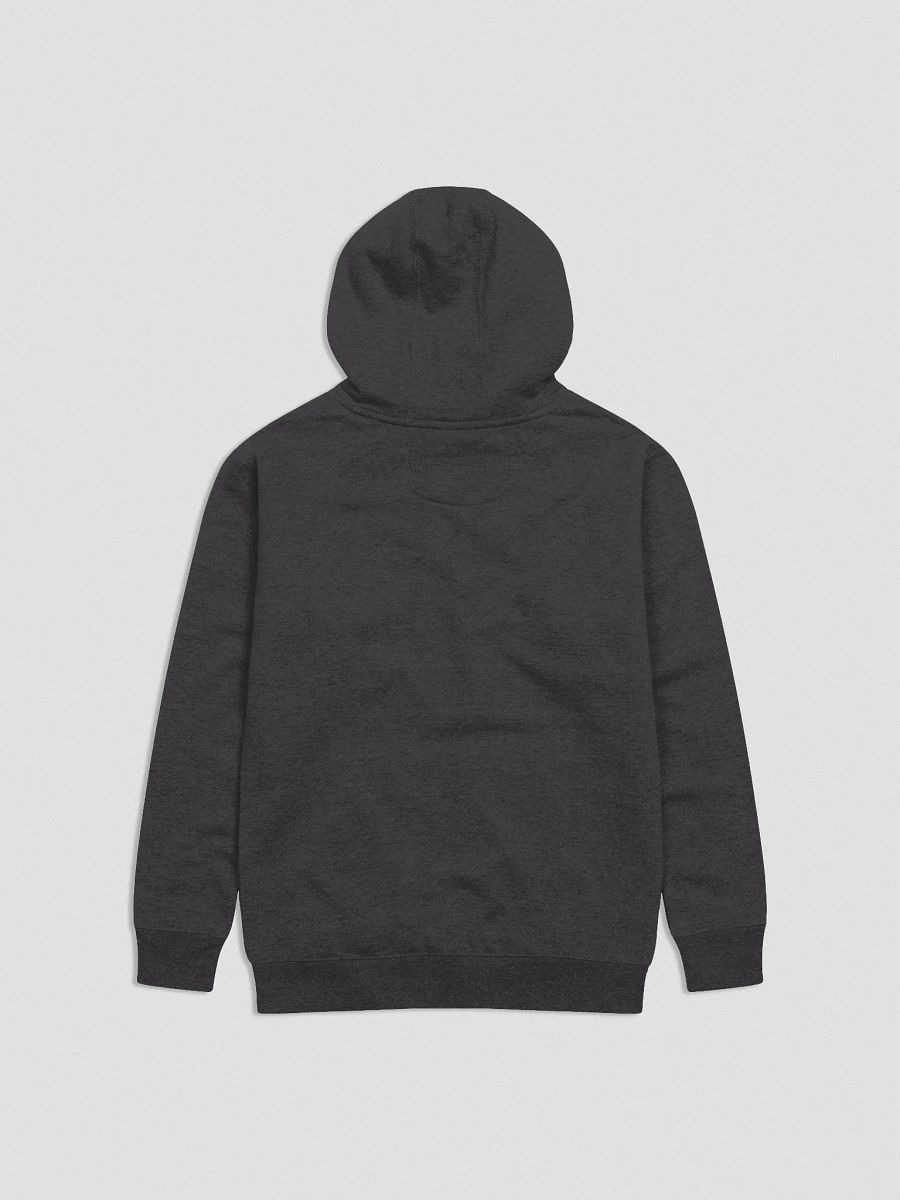 DT Classic Logo Hoodie product image (4)