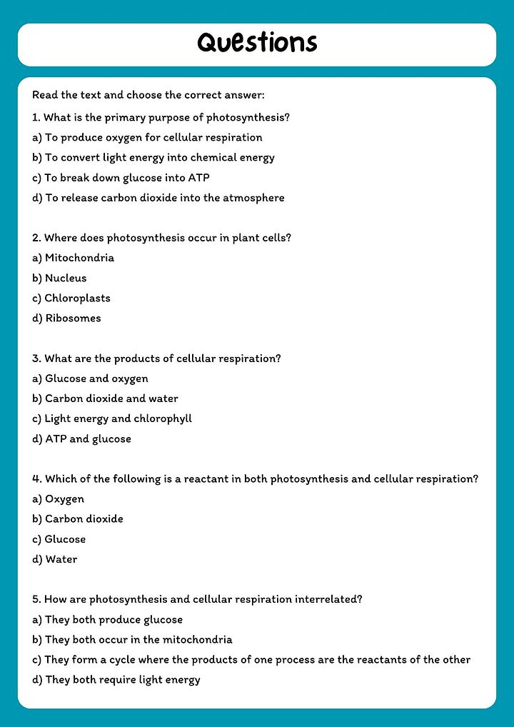 Photosynthesis and Cellular Respiration Reading Comprehension Passage with Questions product image (2)