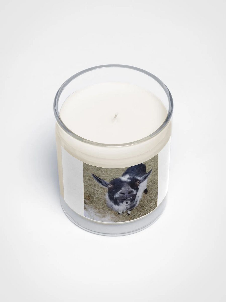 Cute Jeremy goat candle product image (3)