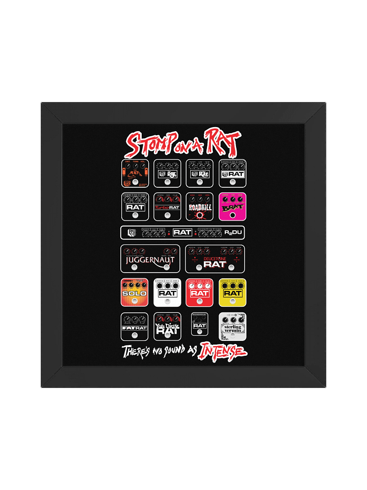 History of the Rat product image (3)