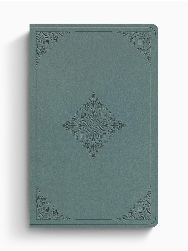 Bible - Paris Sky product image (1)