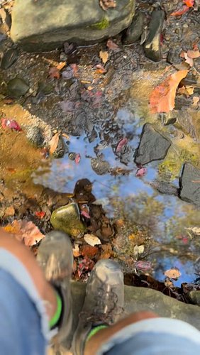 National “Take a Hike” Day is coming Nov. 17. It’s a serious holiday at Hikers Rock. Start planning which trail you’re going ...