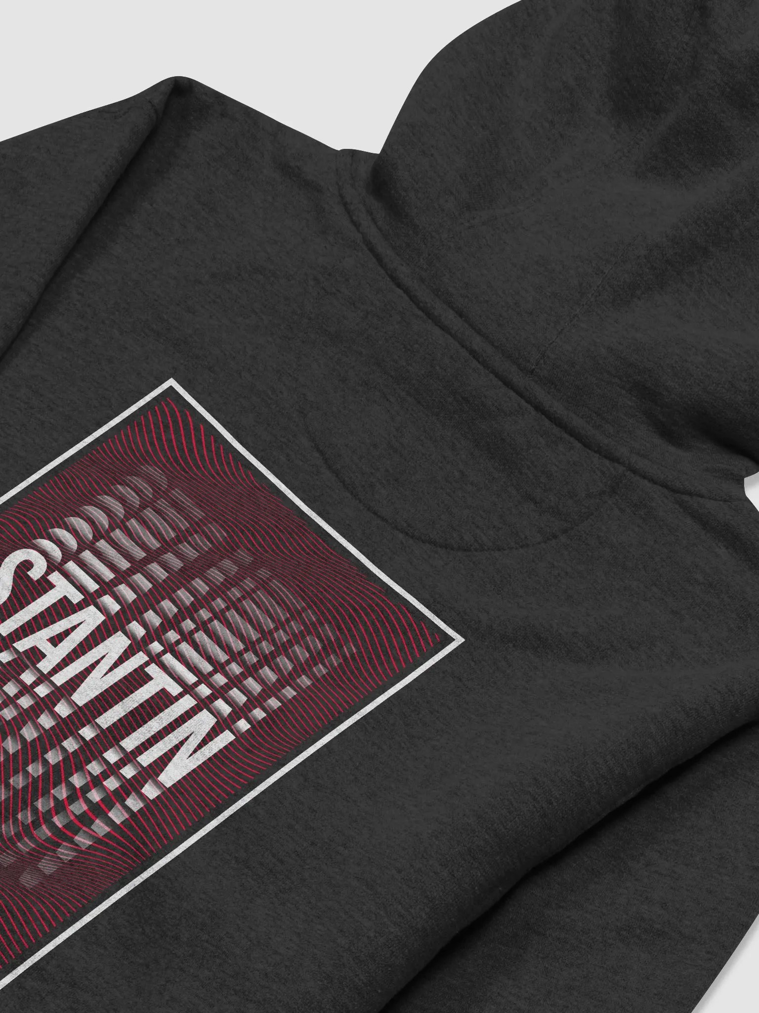 StanHoodie product image (4)