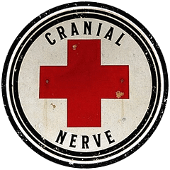 Cranial Nerve