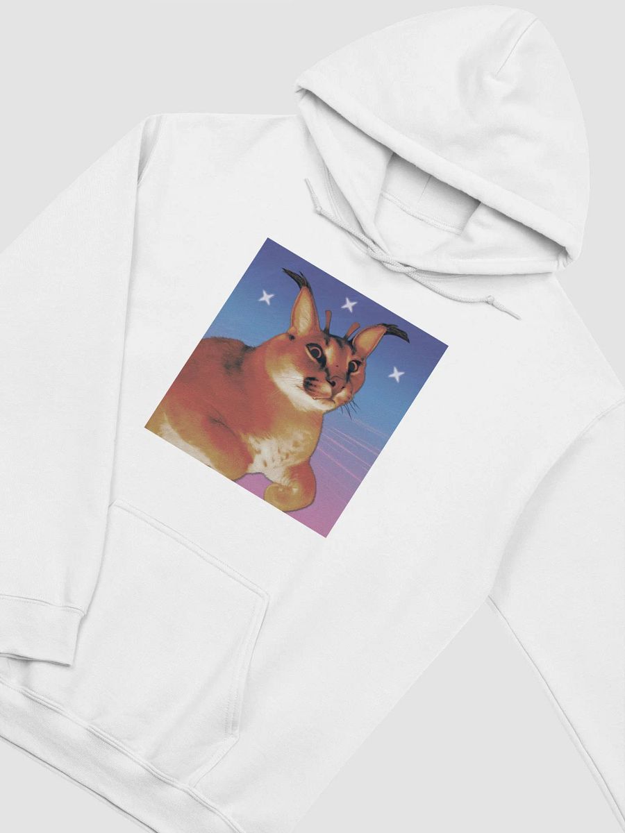 ALIEN FLOPPA MINIMALISTIC HOODIE (⏃⌰⟟⟒⋏ ⋔⟟⋏⟟⋔⏃⌰⟟⌇⏁⟟☊ ⎎⌰⍜⌿⌿⏃) product image (1)