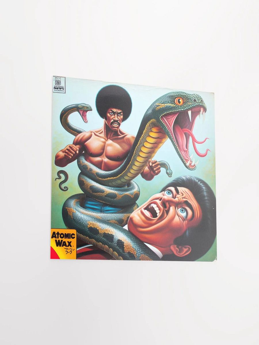 Kung Fu D*ck Anaconda Fighting Stance Poster product image (7)
