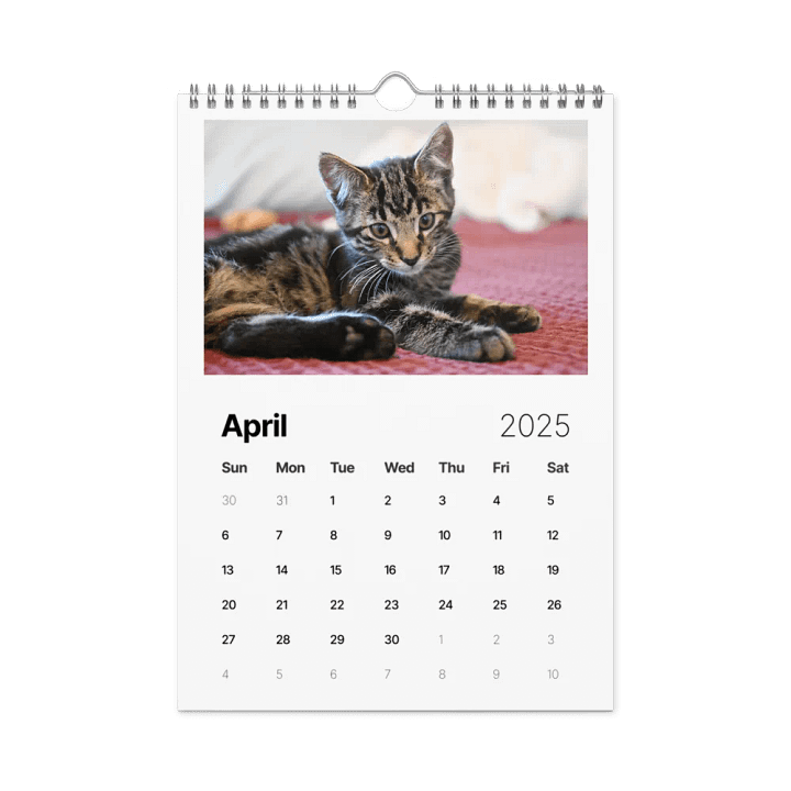 Noah and Friends 2025 Calendar product image (1)