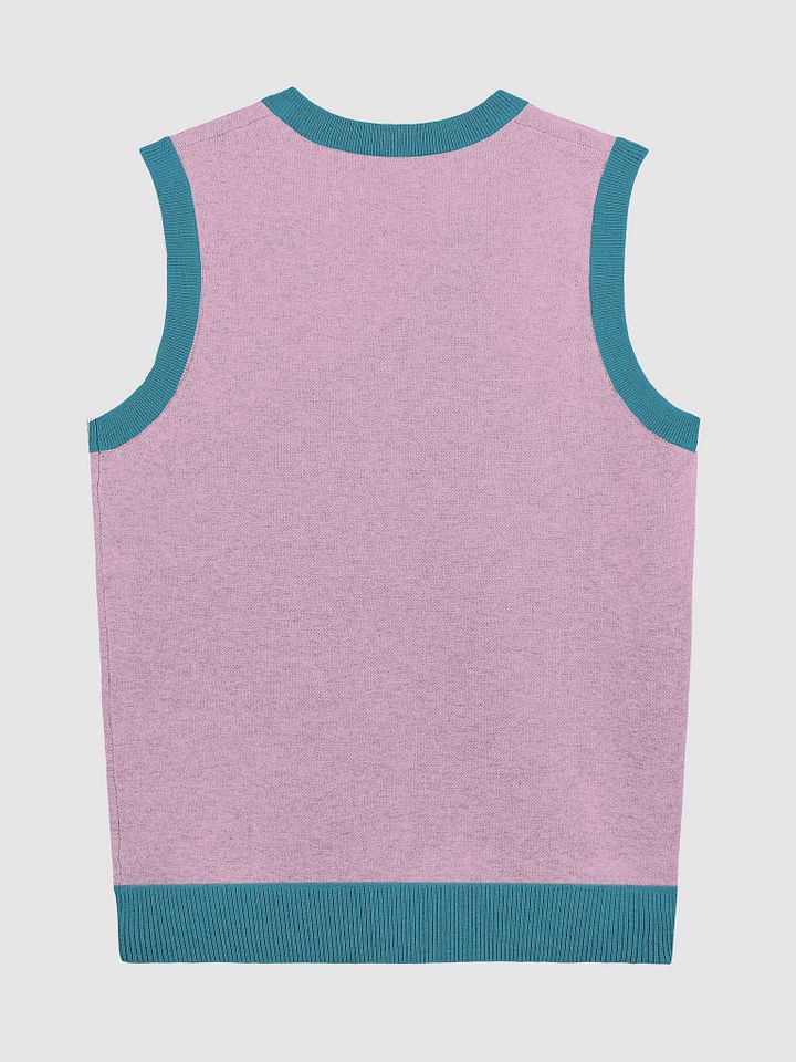 PLEASE DON'T MAKE ME TALK (teal and lilac) knitwear vest product image (6)