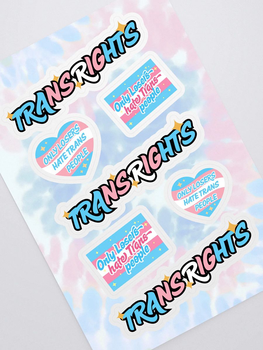 TRANS RIGHTS Sticker Sheet product image (1)