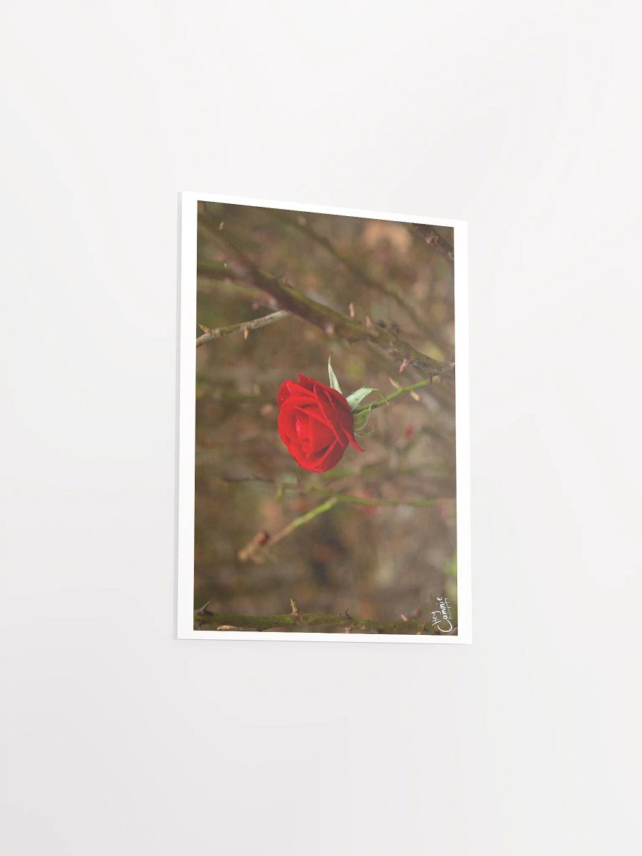 Roses Thorns - Print product image (3)