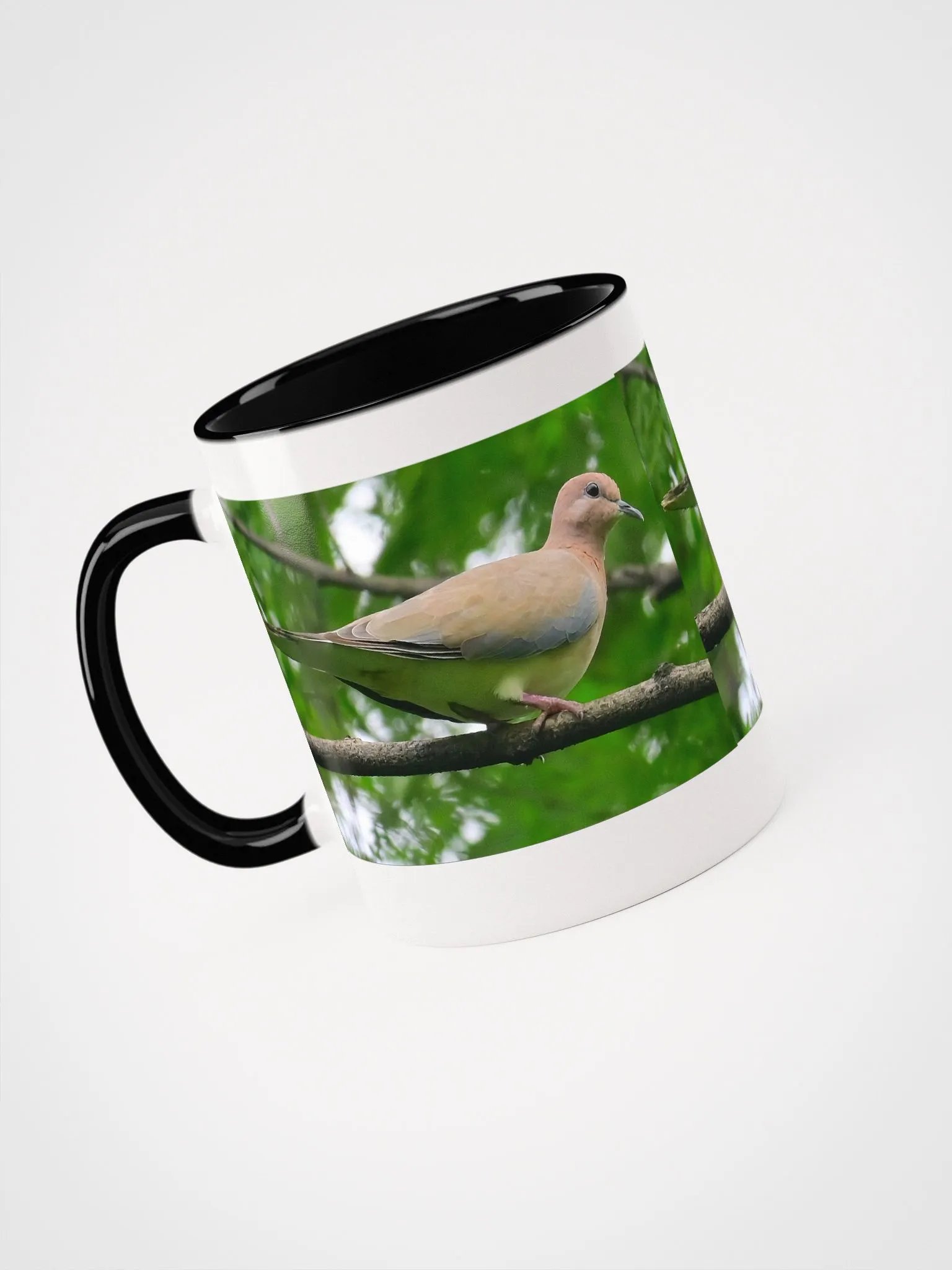 IUCAA Birds MUG product image (38)
