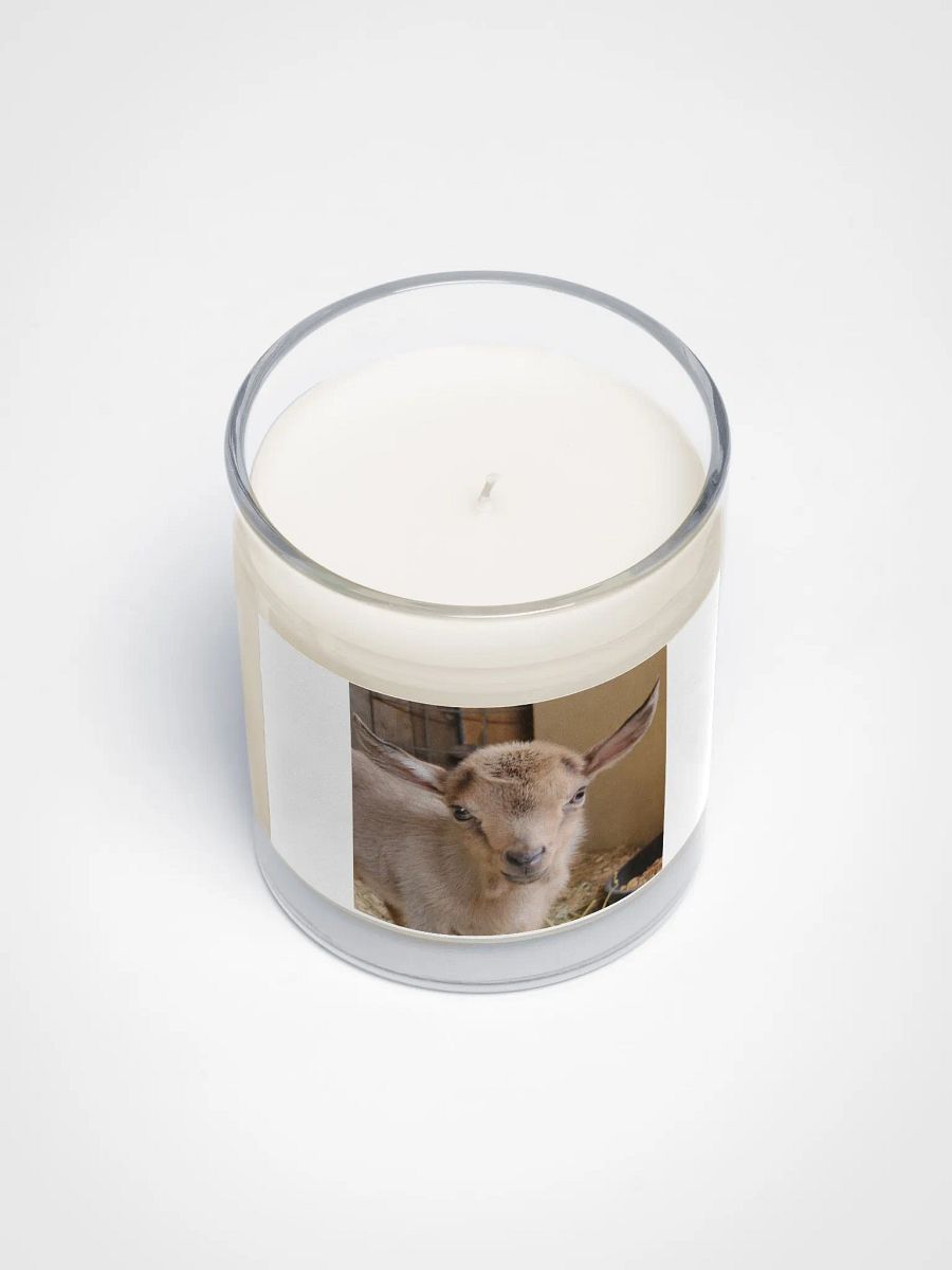 Baby Kiwi goat candle product image (3)