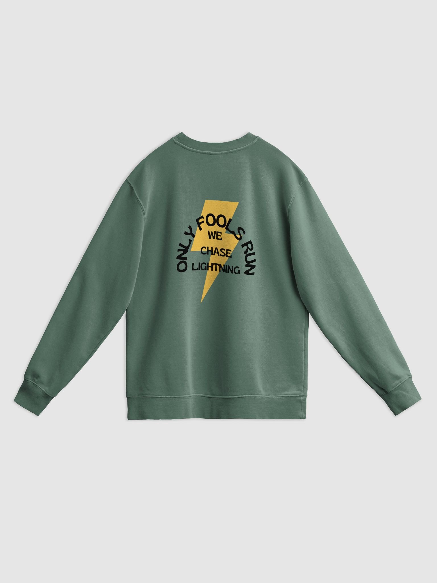 Stormen Sweatshirt product image (8)