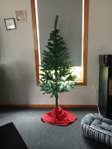 😂😂😂We haven't bought our decorations yet but we put up our Christmas tree-- Our first time together in our new home. 😍😍😍

I'l...