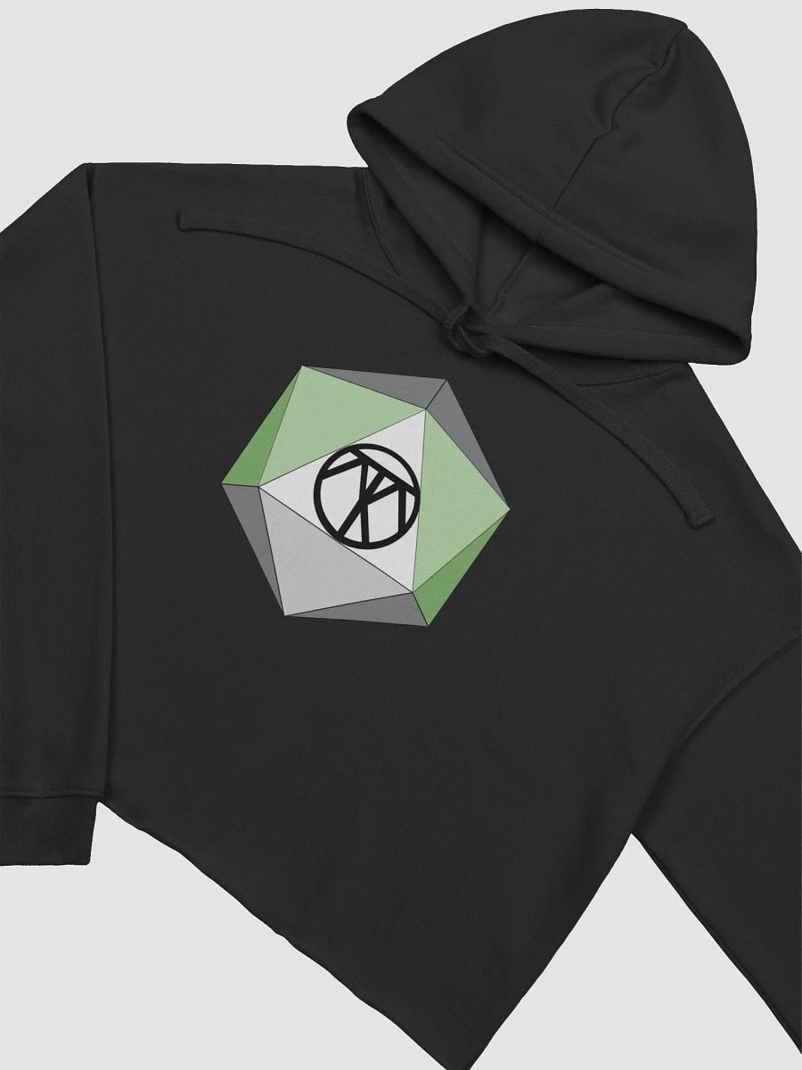 ThatoneGrayromanticD20 Crop Top product image (8)