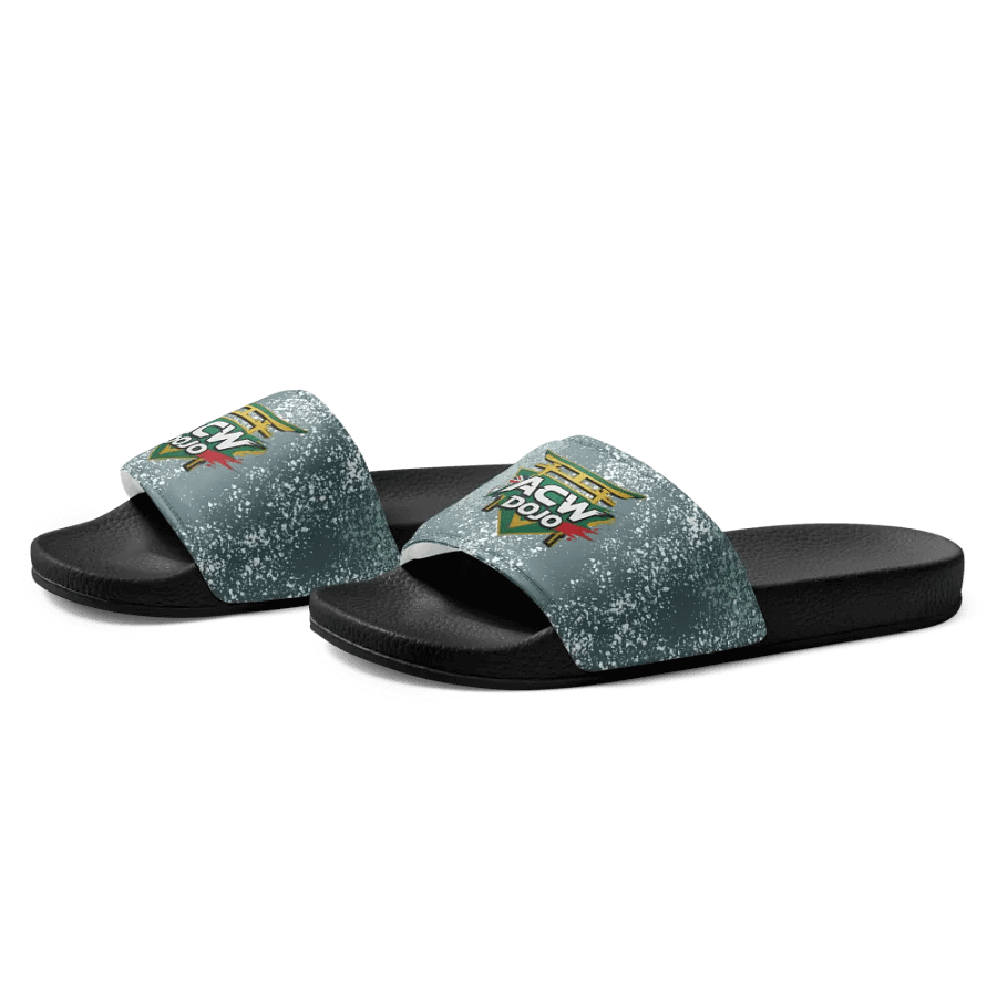 ACW Dojo Slides product image (2)