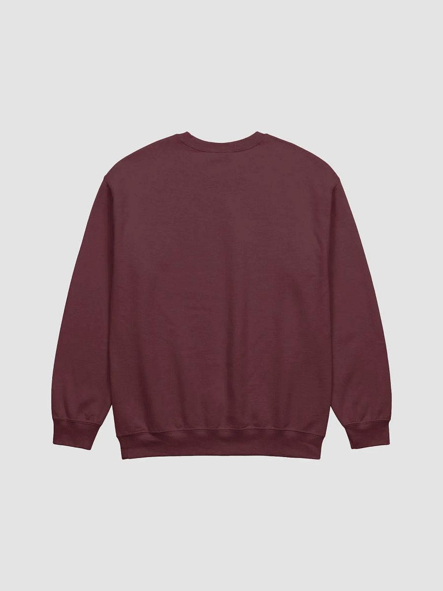 #dreamchaser jumper product image (3)