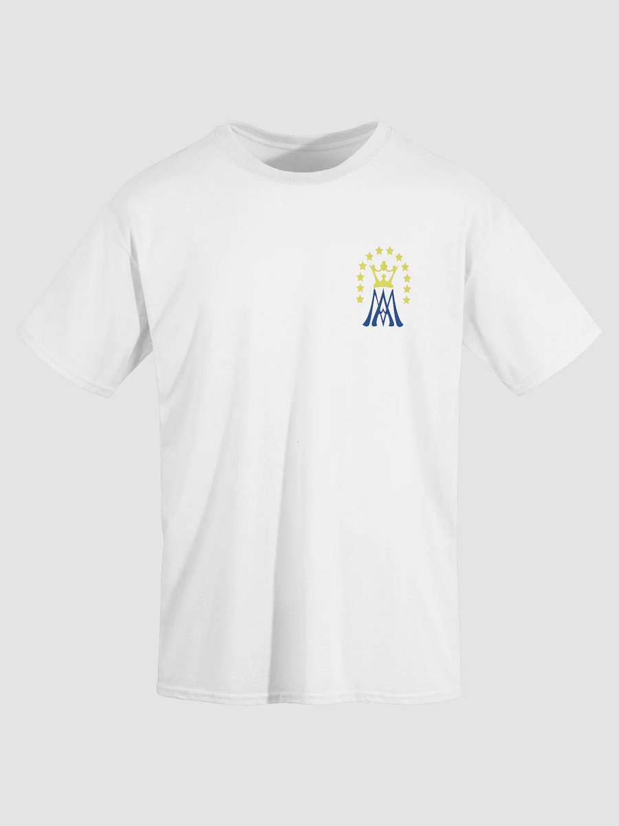 Most Holy Mary Theotokos Ora Pro Nobis product image (2)