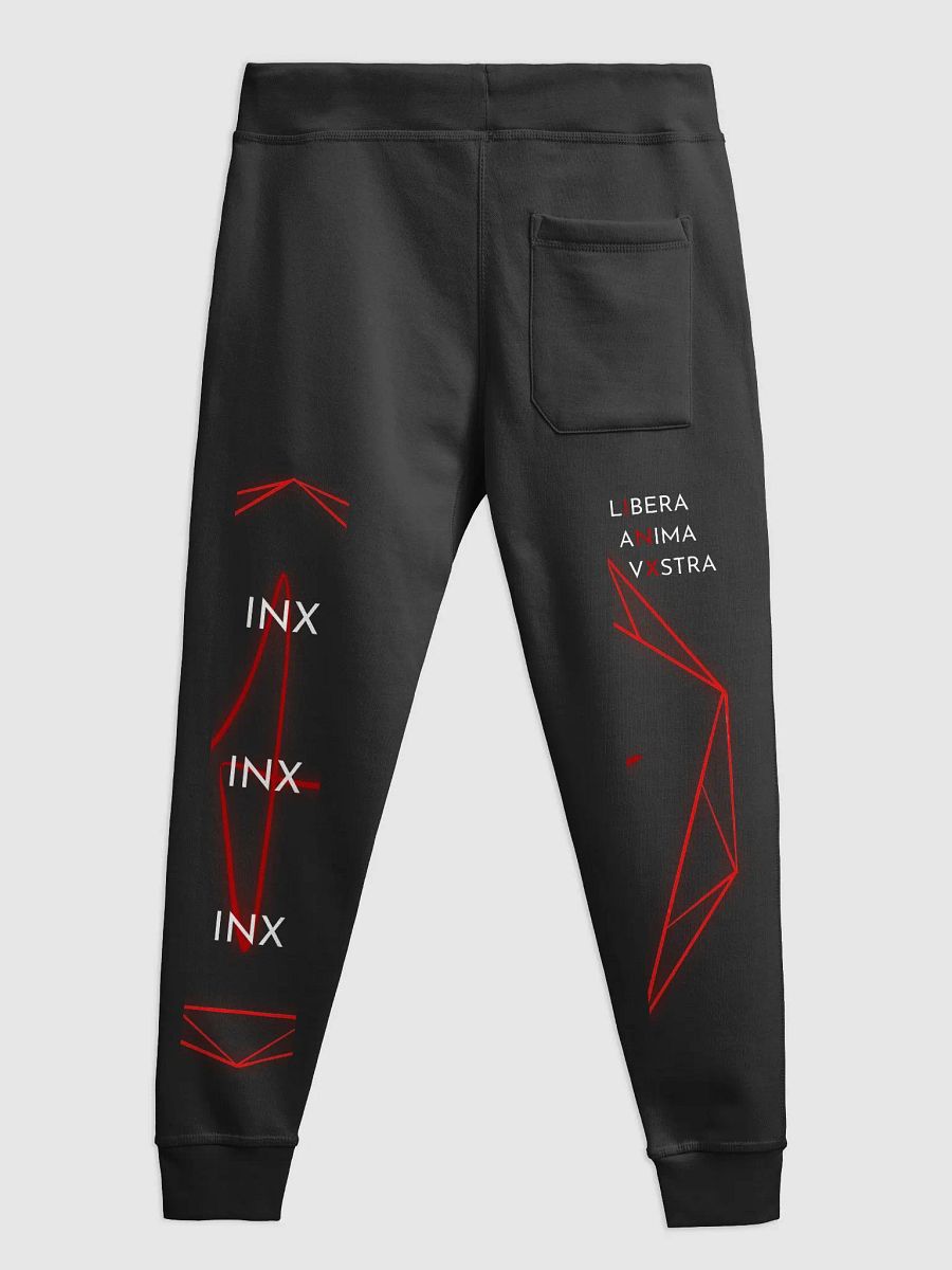 InX Sweatpants product image (4)