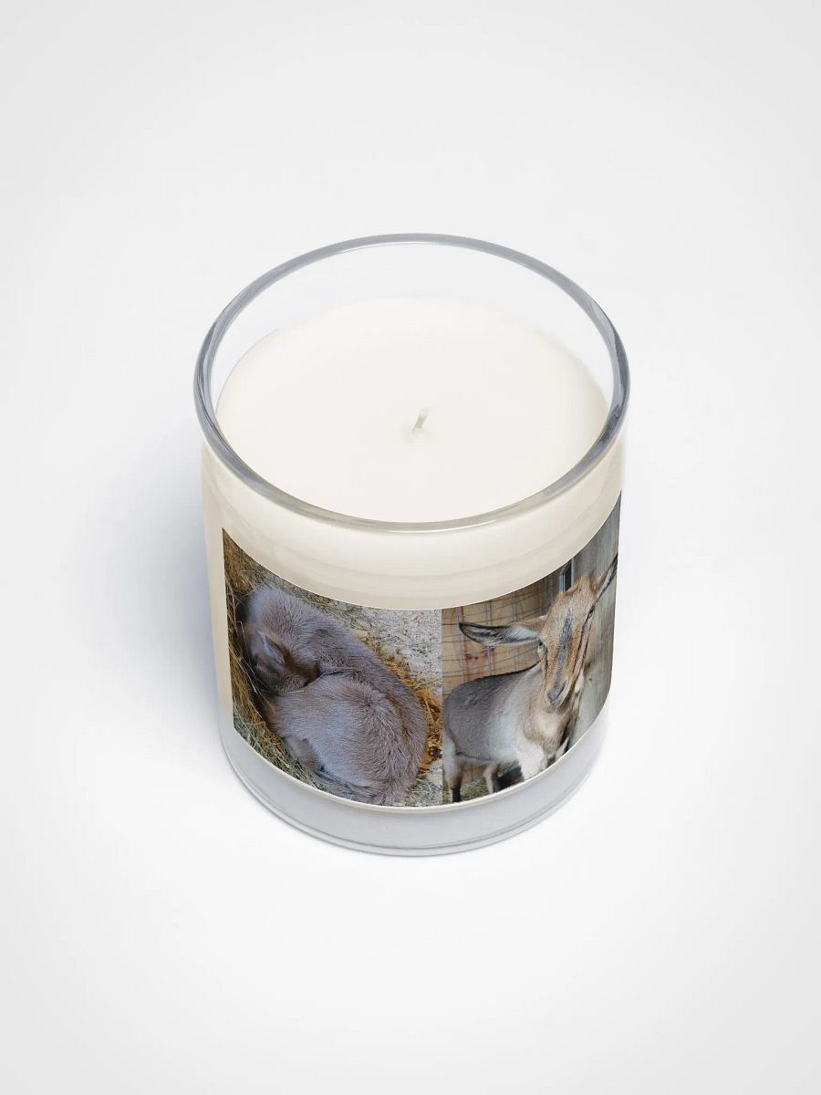 Kiwi - Newborn & Now candle product image (3)