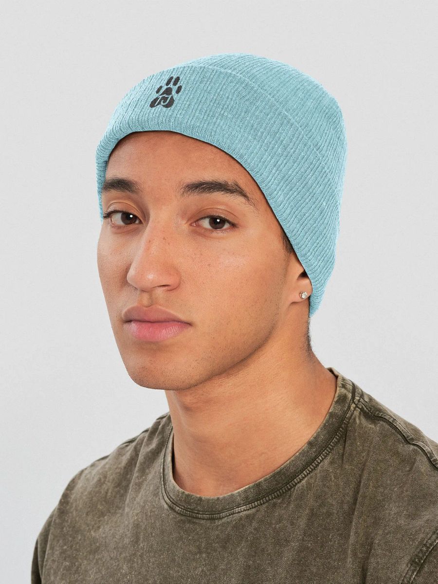 TJ Paw Recycled Cuffed Beanie (black detail) product image (15)