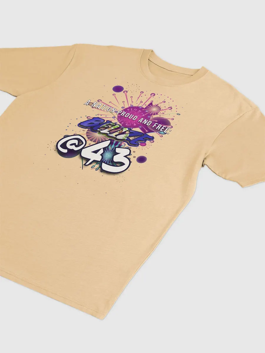 September Celebration T-Shirt (Inside Flag Design) product image (3)
