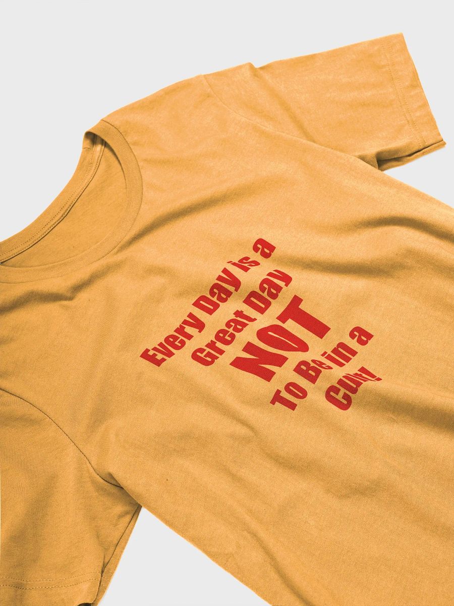 SPTV Foundation T Every Day is a Great day NOT To Be in a Cult product image (3)