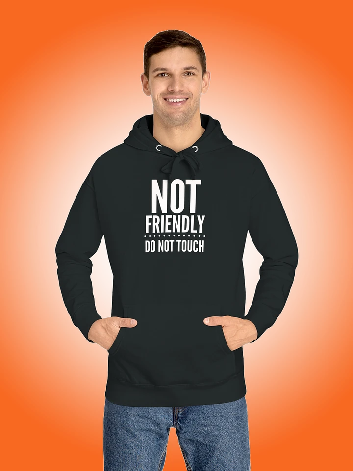 Not Friendly | Do Not Touch product image (1)