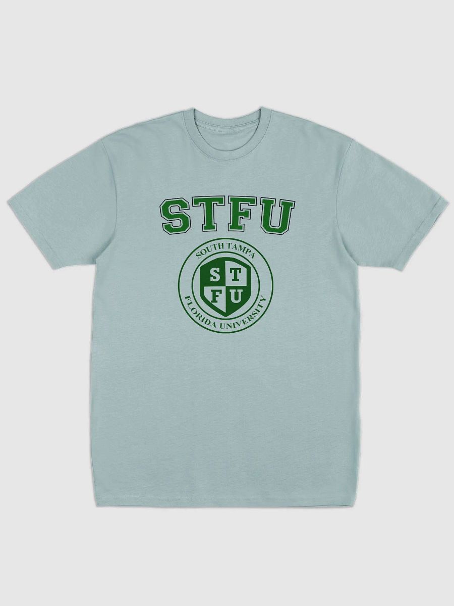 STFU Men's Premium Heavyweight Tee / Light Colors product image (1)