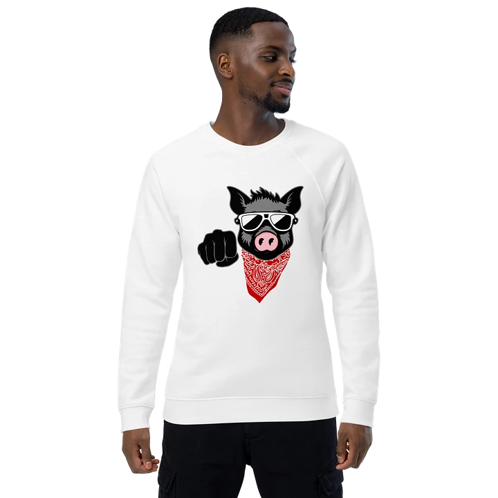 Kinky Fist Pig · organic raglan sweatshirt product image (1)