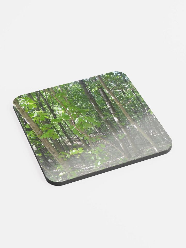 Forest Cork Coaster product image (1)