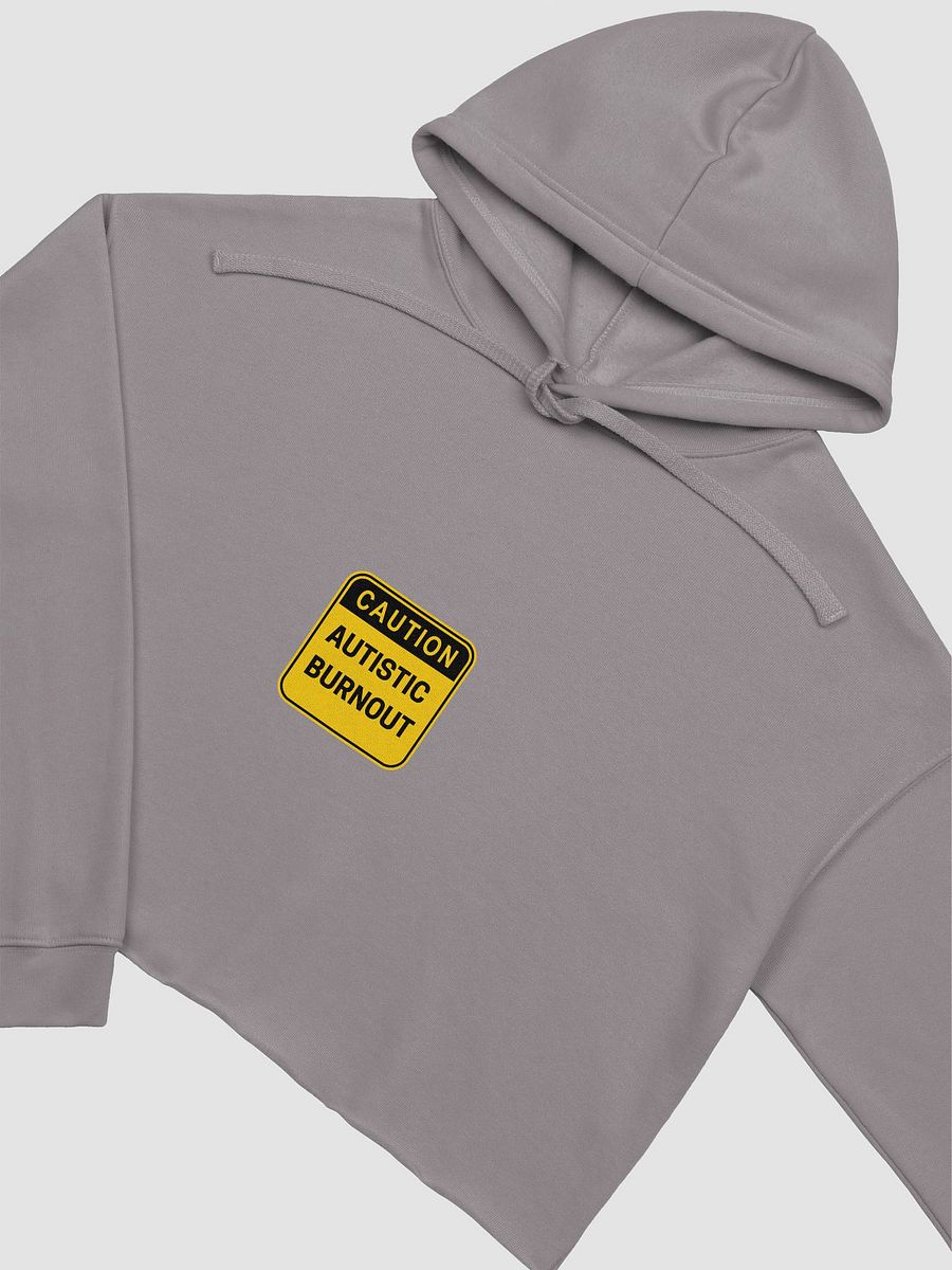CAUTION: ASD BURNOUT cropped hoodie product image (29)