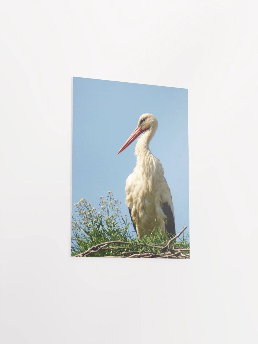 The white stork - Enhanced Matte Paper Poster product image (3)