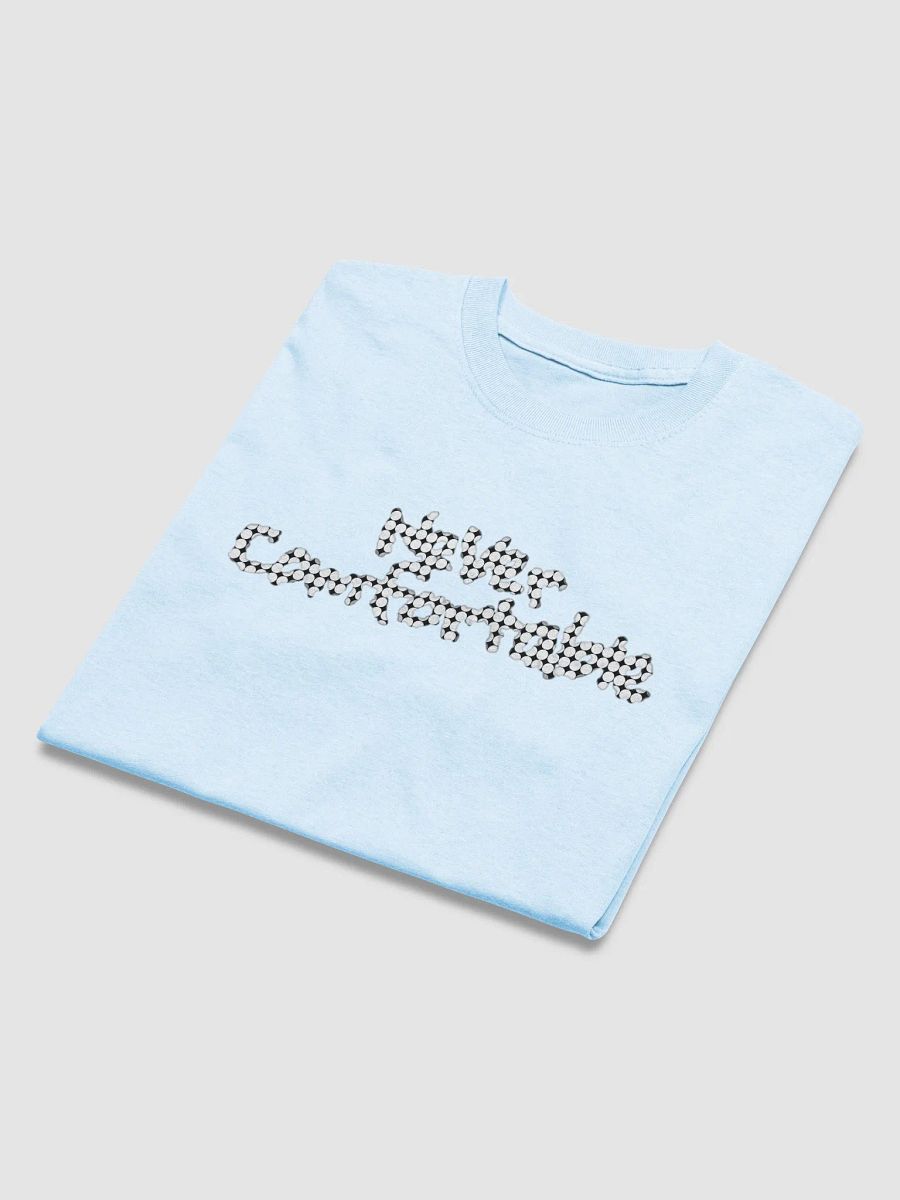 NEVER COMFORTABLE TEE - V.BLUPANDA product image (11)