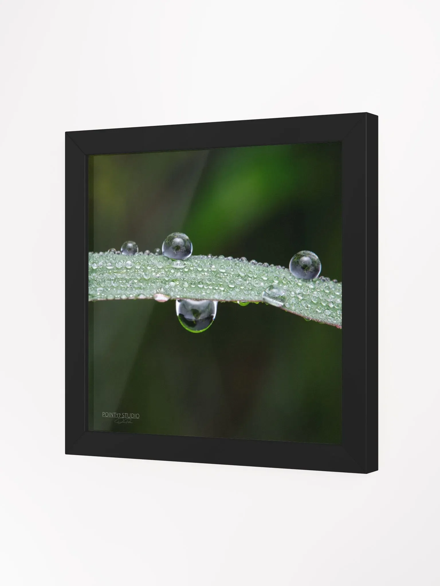 Dew Gems #7 - Framed Print product image (2)