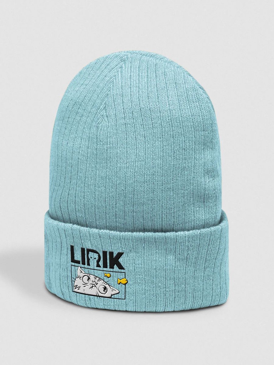 Fish Bowl Beanie product image (2)