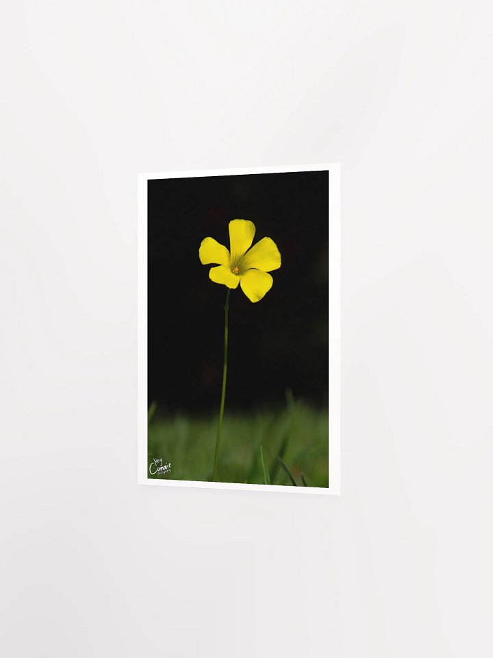 Life - Print product image (2)