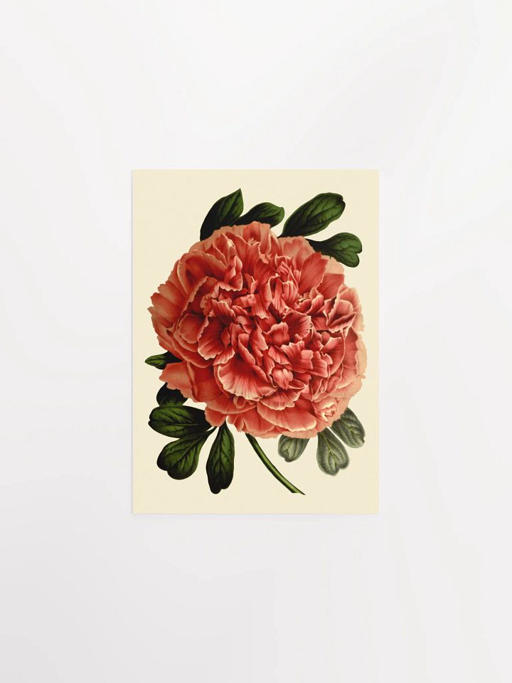 Red Blossom Poster Print product image (1)