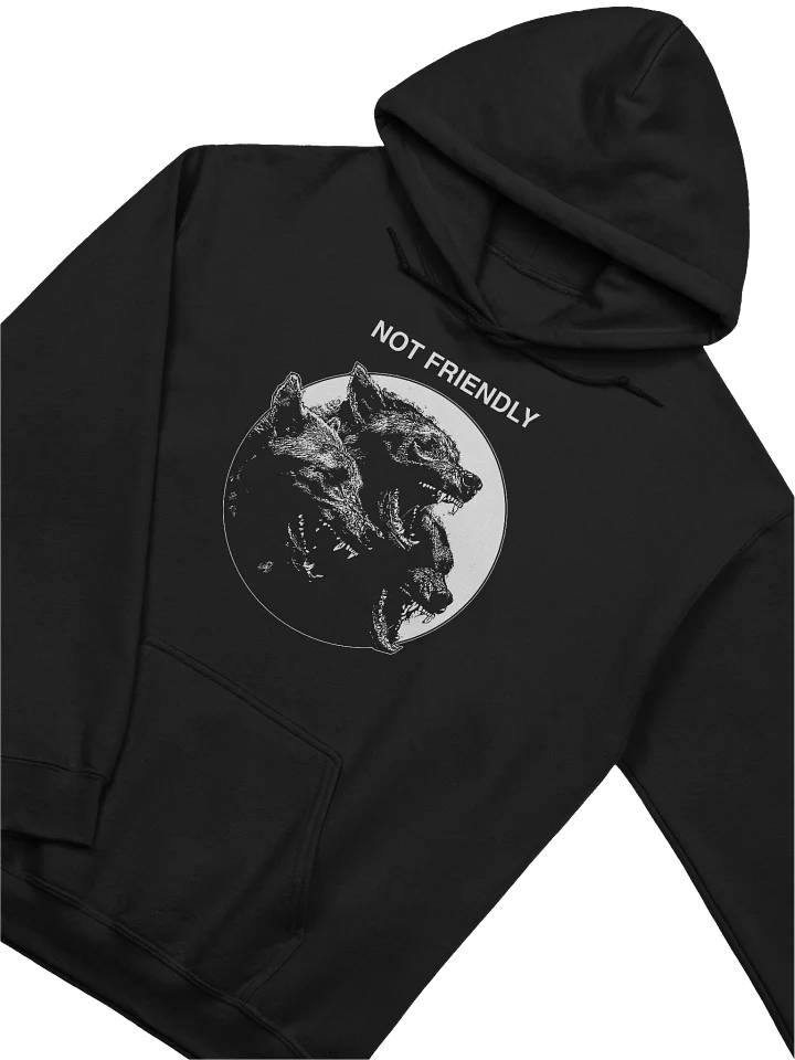 NOT FRIENDLY - Hoodie product image (2)