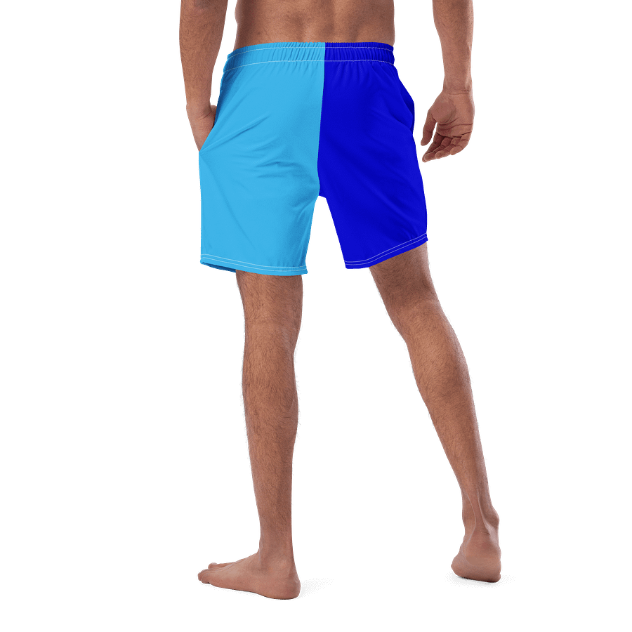 PROFESSIONAL Relaxer All-Over Swim Trunks product image (5)