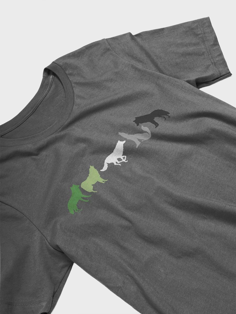 Aromantic Pride Wolves Women's T-Shirt product image (31)
