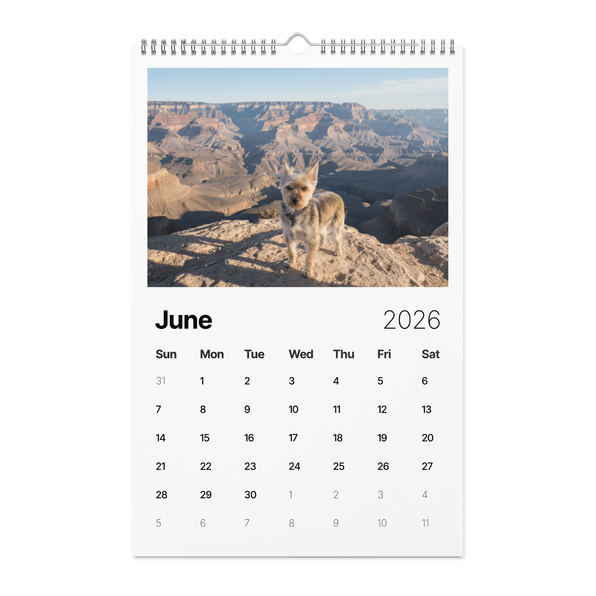 Marley's AI Adventures Wall Calendar (2026) product image (10)