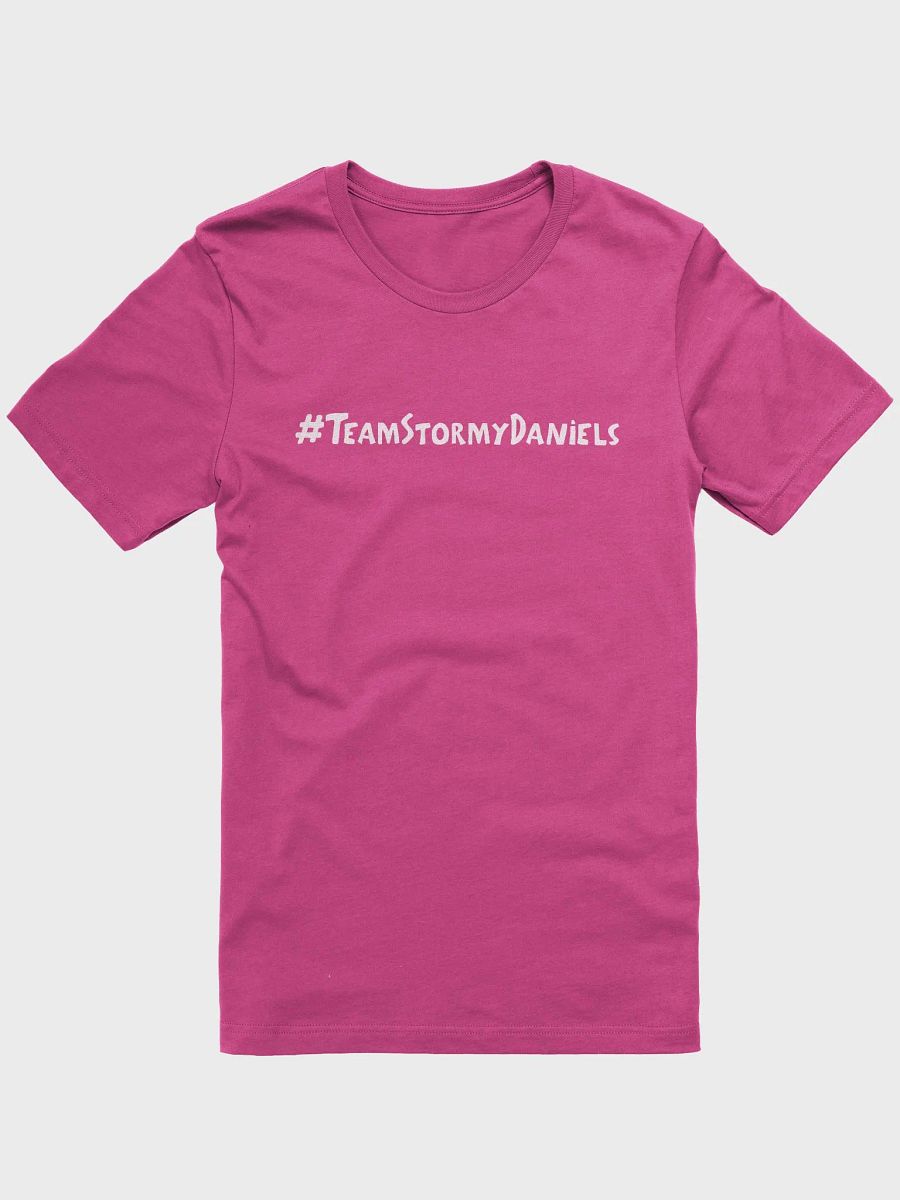 #TeamStormyDaniels product image (1)