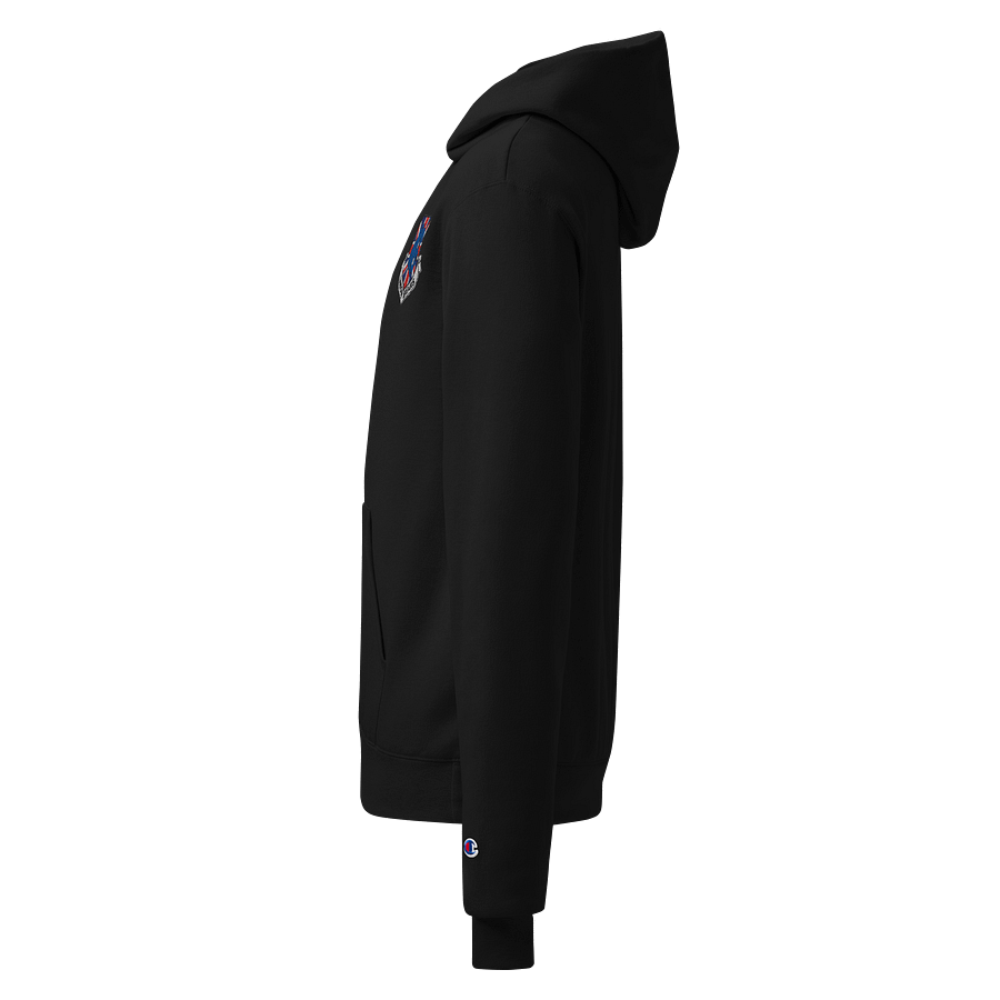 UBC X Champion Hoodie product image (3)