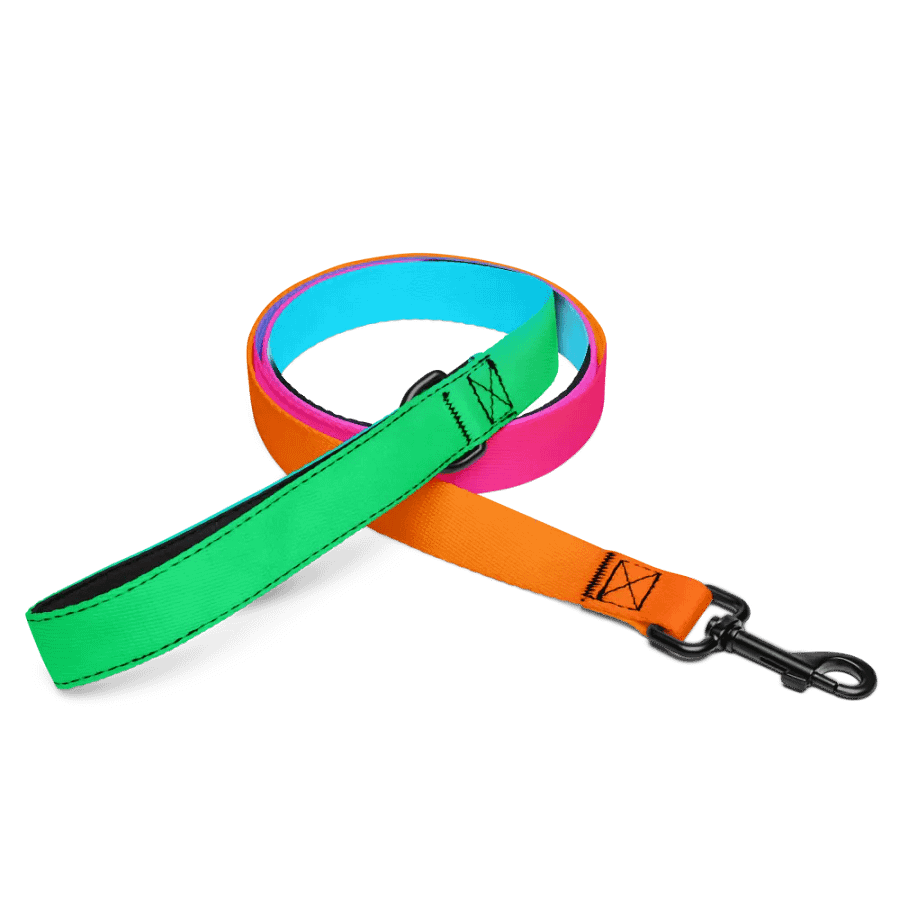 EIFFEL PARIS • DOG LEASH product image (3)
