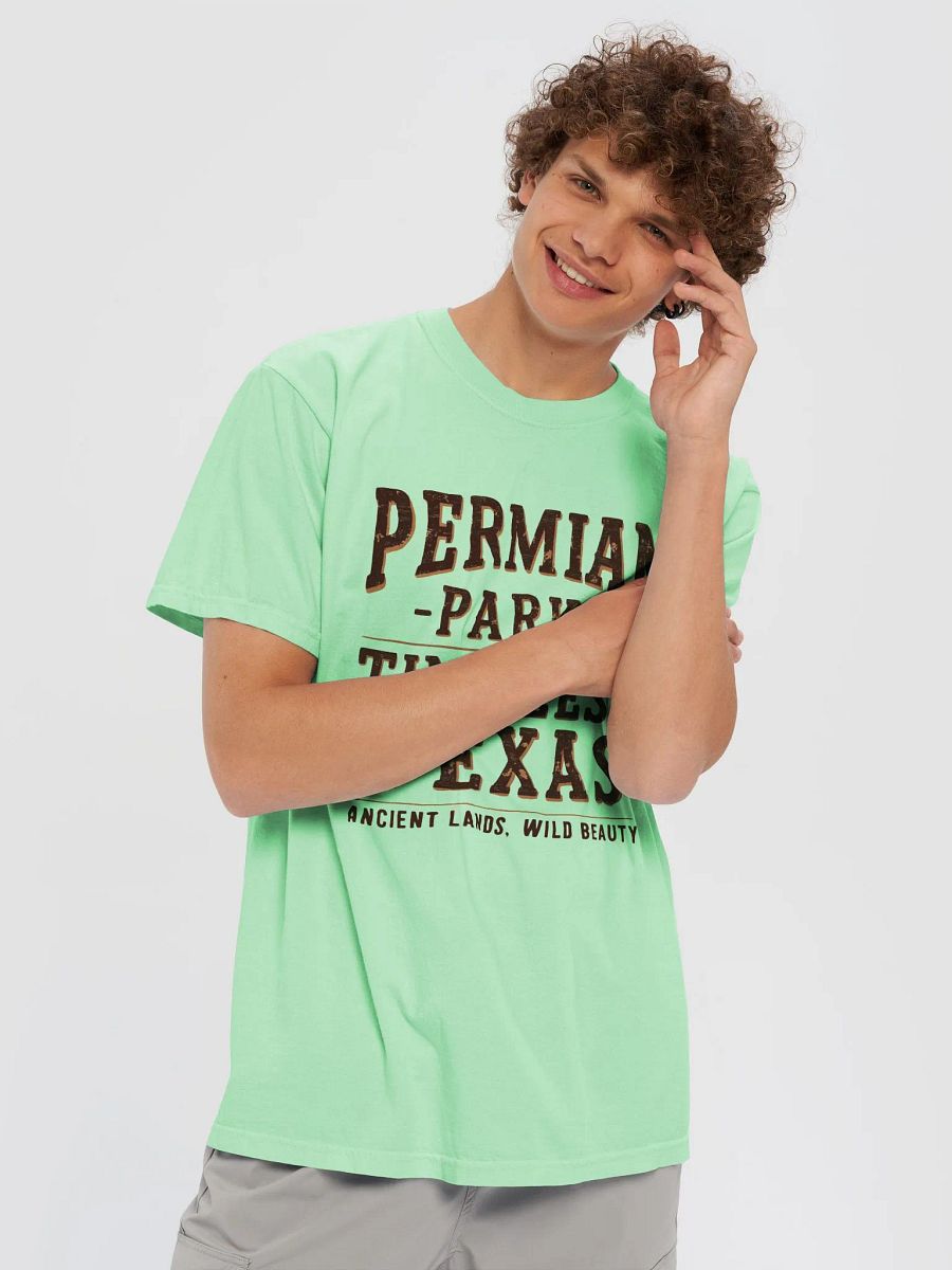 Permian Park Timeless Texas Garment-Dyed Tee product image (26)