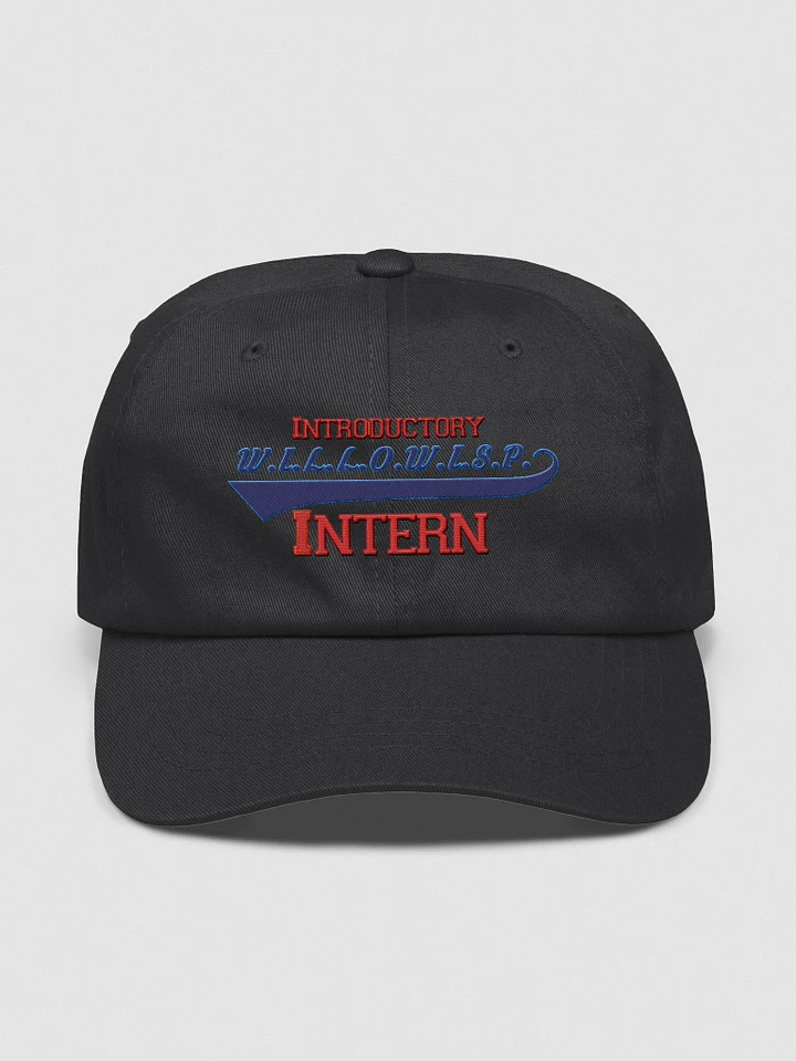 WILLOWISP Intern Ball Cap product image (1)