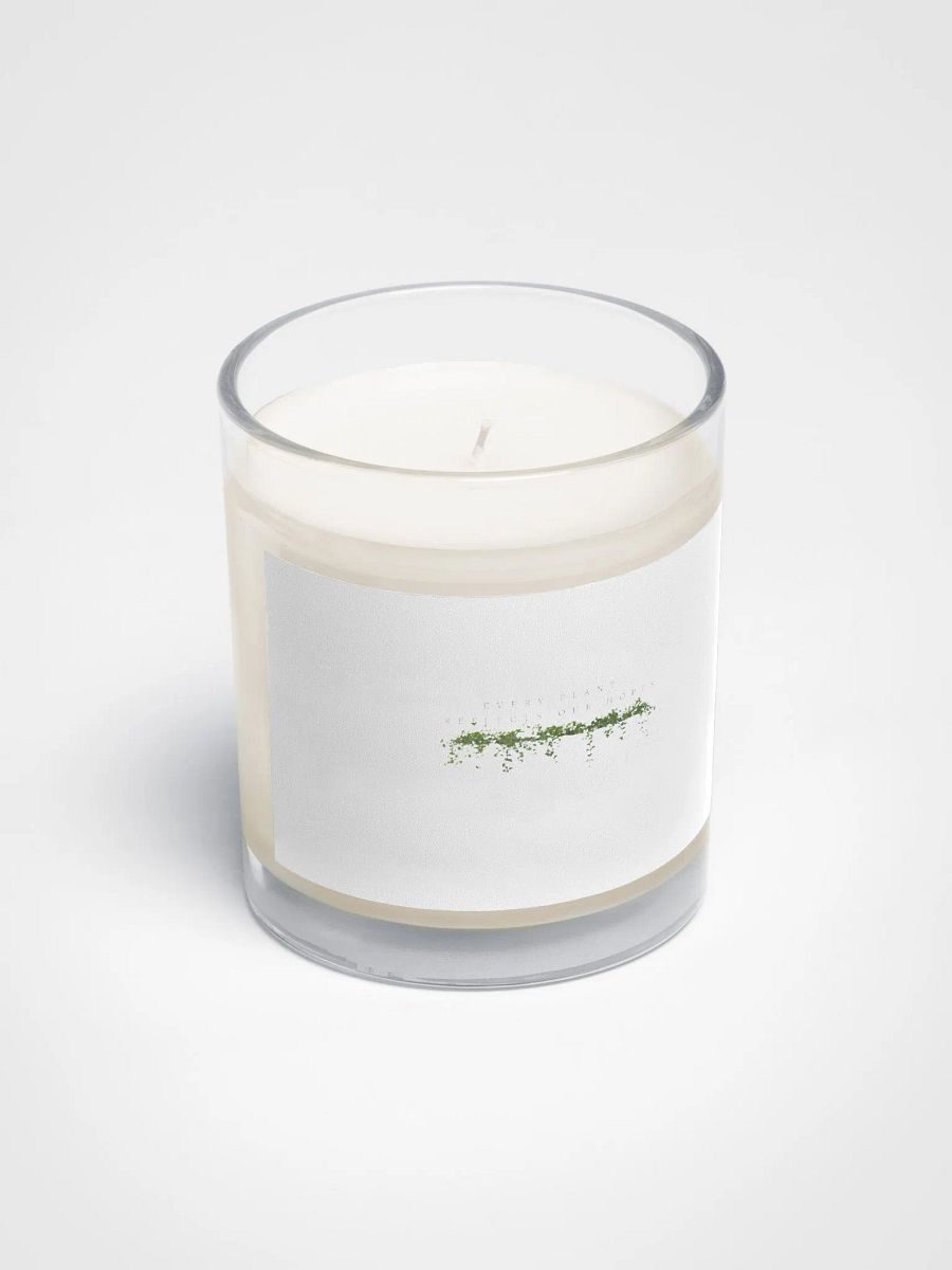 Serenity in a Jar Candle product image (2)