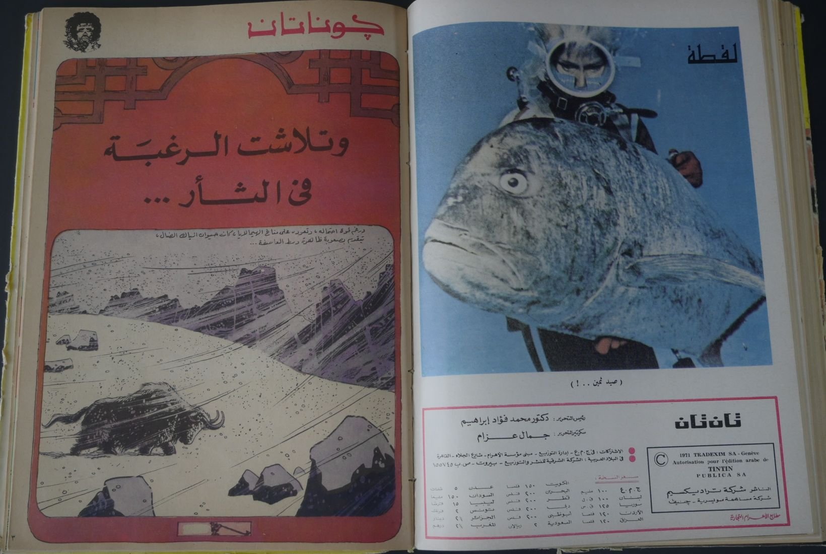 مجلد مجلة تان تان عام 1975 (المجلد السابع والاربعون) product image (7)