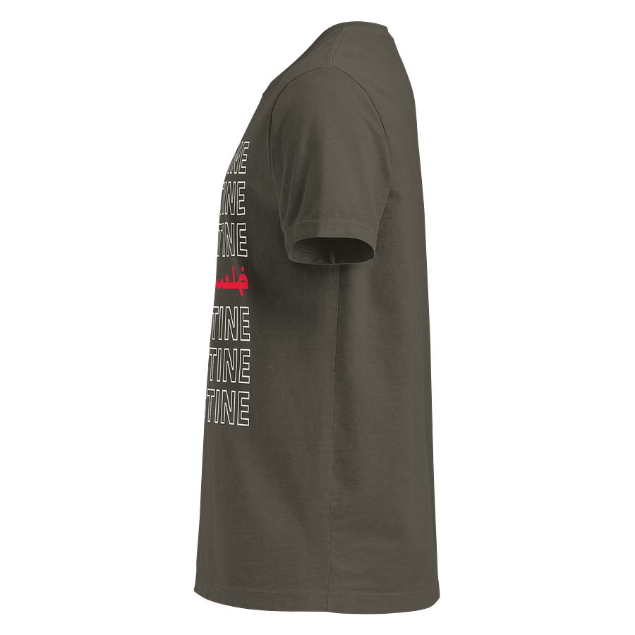Palestine Oversized Unisex T-shirt product image (7)